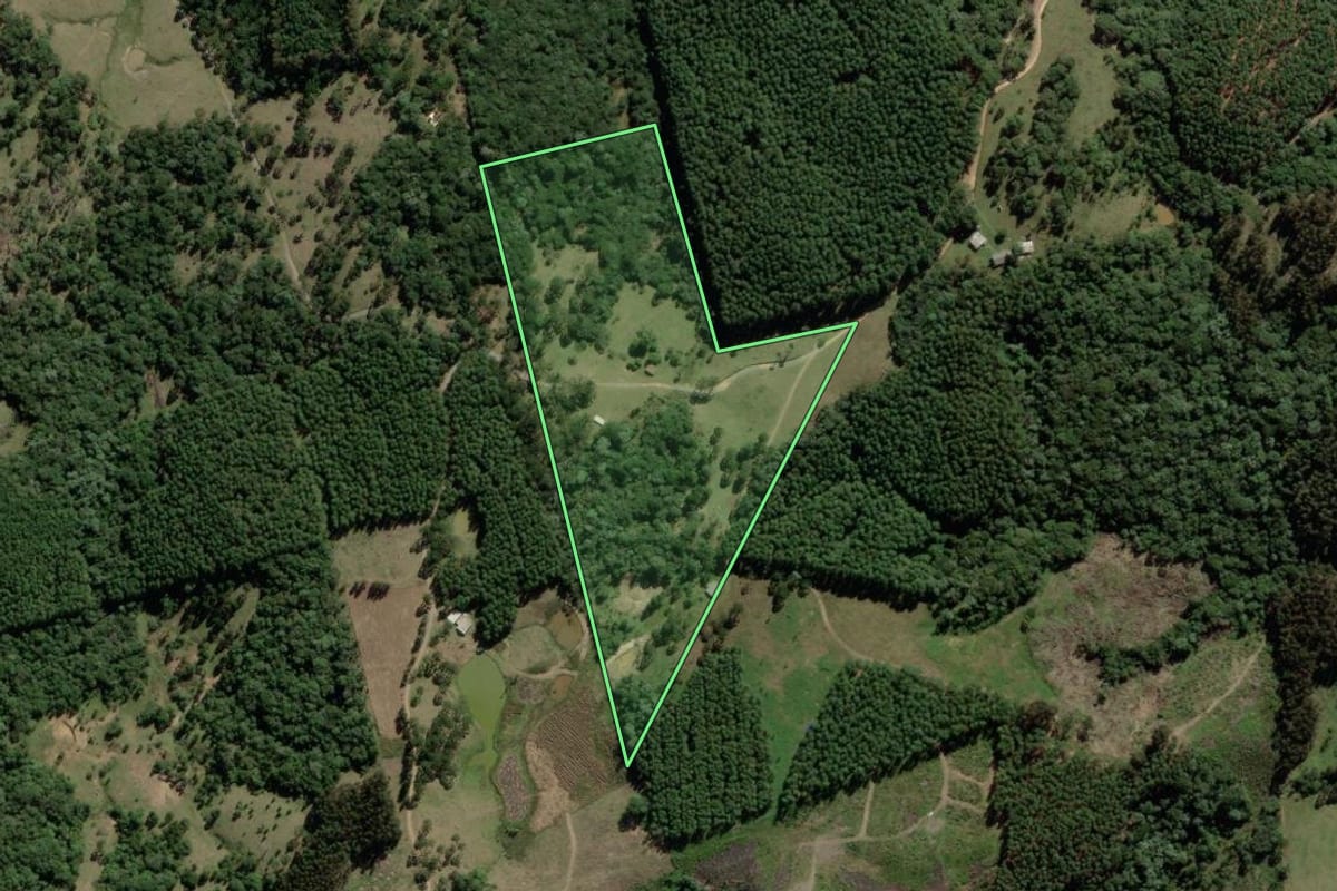 Imagem de satélite do imóvel rural em Correia Pinto (SC), com o contorno declarado no CAR desenhado por cima.