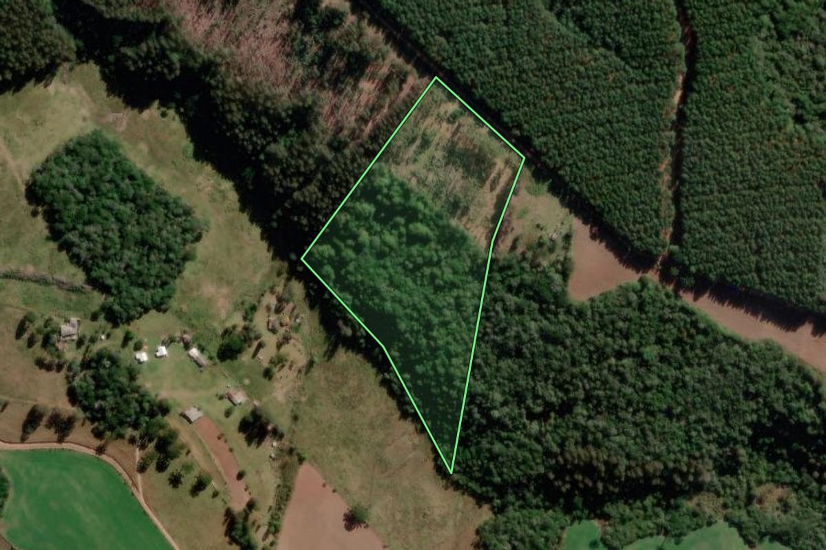 Imagem de satélite do imóvel rural em Correia Pinto (SC), com o contorno declarado no CAR desenhado por cima.