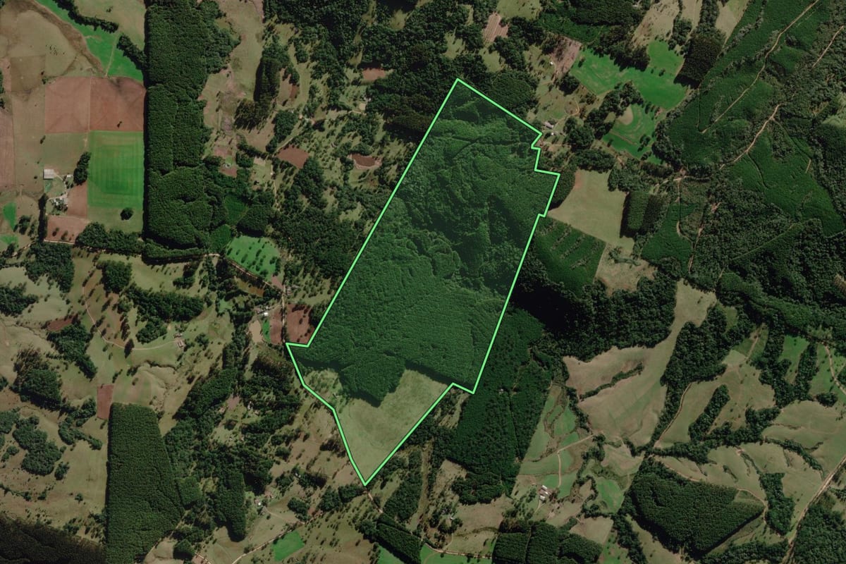 Imagem de satélite do imóvel rural em Correia Pinto (SC), com o contorno declarado no CAR desenhado por cima.
