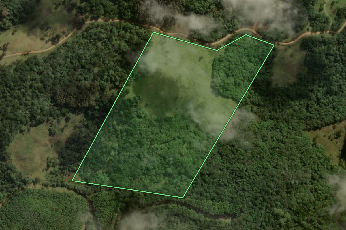 Imagem de satélite do imóvel rural em Correia Pinto (SC), com o contorno declarado no CAR desenhado por cima.