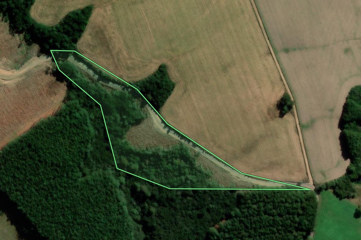 Imagem de satélite do imóvel rural em Correia Pinto (SC), com o contorno declarado no CAR desenhado por cima.