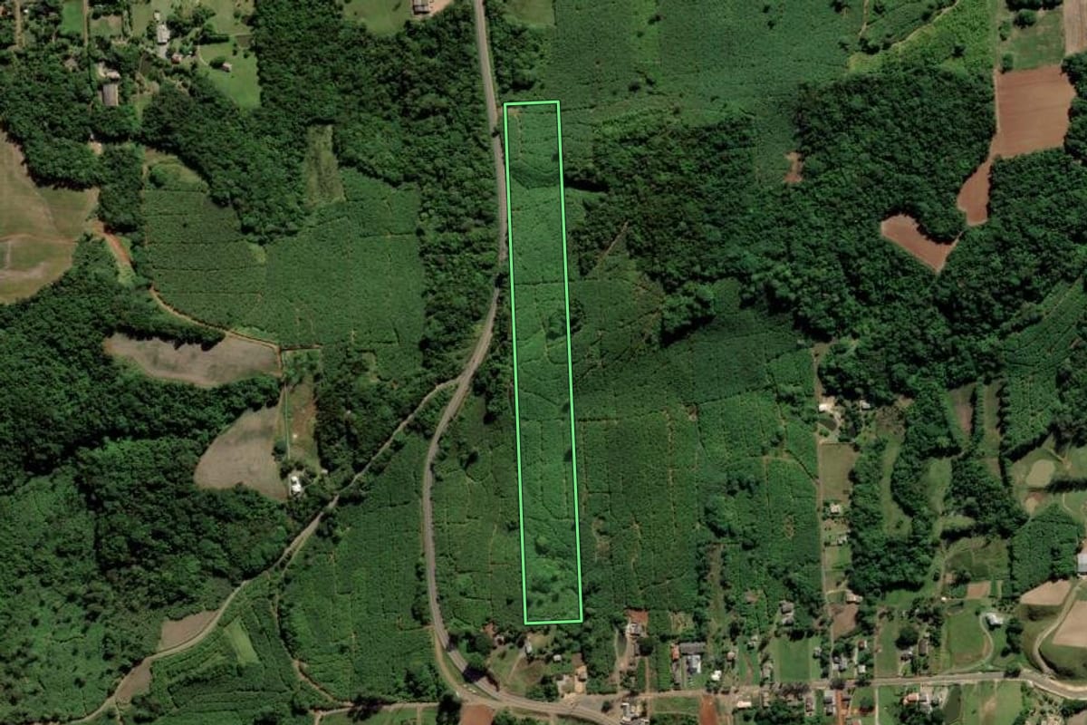 Imagem de satélite do imóvel rural em Criciúma (SC), com o contorno declarado no CAR desenhado por cima.