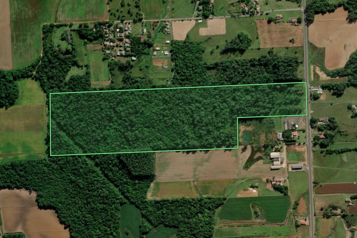 Imagem de satélite do imóvel rural em Criciúma (SC), com o contorno declarado no CAR desenhado por cima.