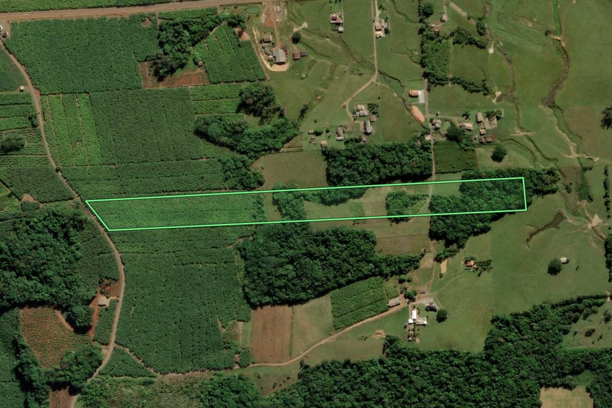 Imagem de satélite do imóvel rural em Criciúma (SC), com o contorno declarado no CAR desenhado por cima.
