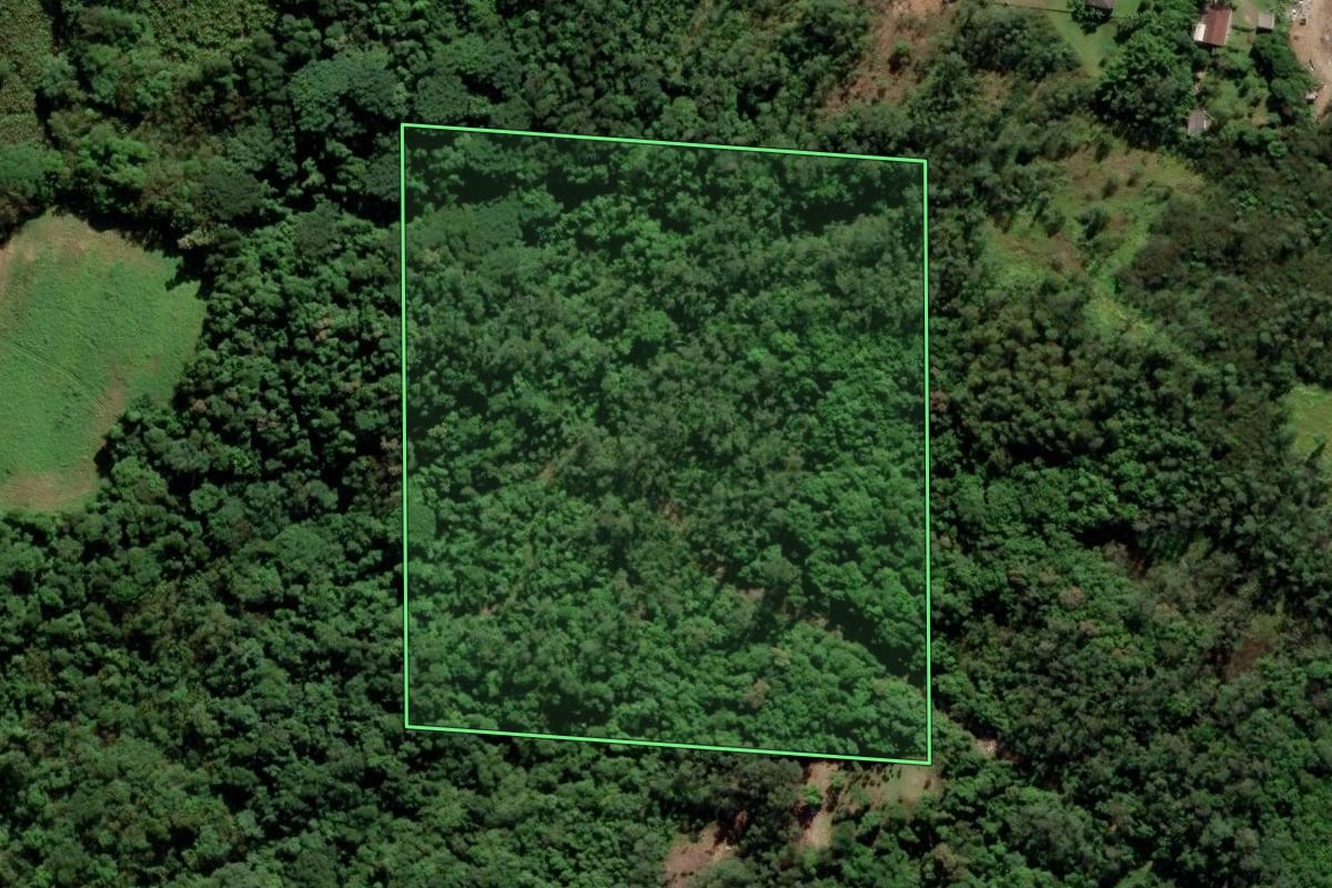 Imagem de satélite do imóvel rural em Criciúma (SC), com o contorno declarado no CAR desenhado por cima.