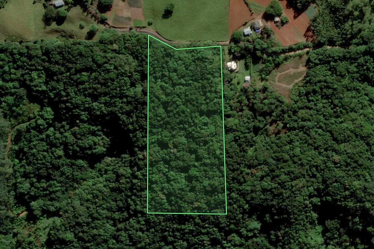 Imagem de satélite do imóvel rural em Criciúma (SC), com o contorno declarado no CAR desenhado por cima.