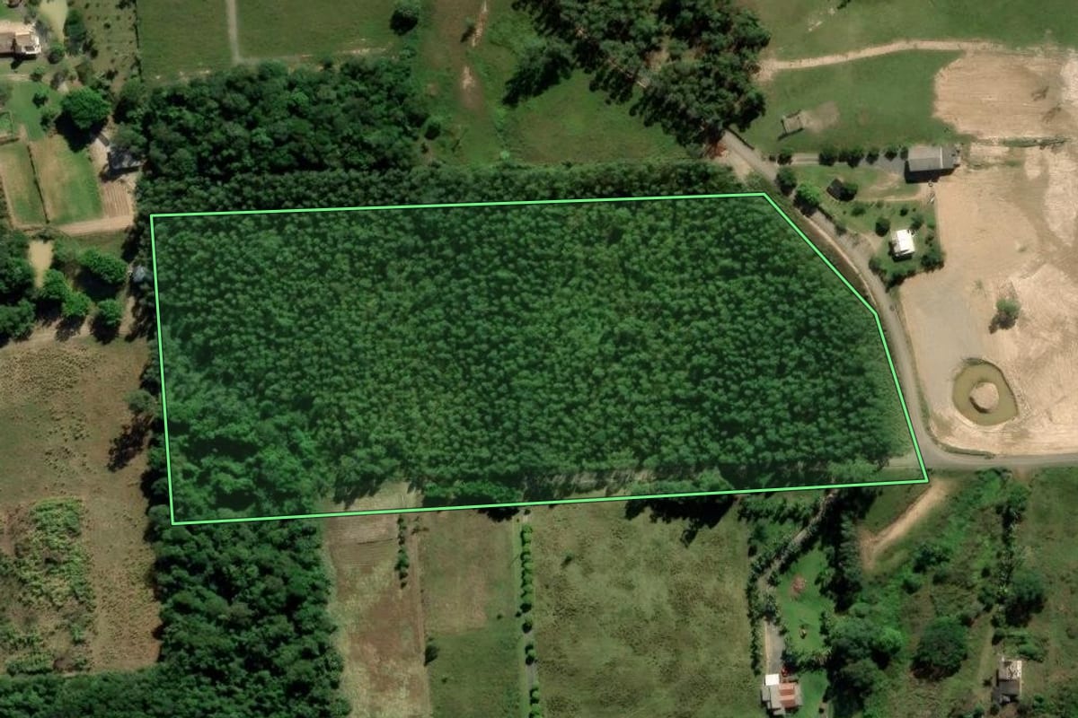 Imagem de satélite do imóvel rural em Criciúma (SC), com o contorno declarado no CAR desenhado por cima.