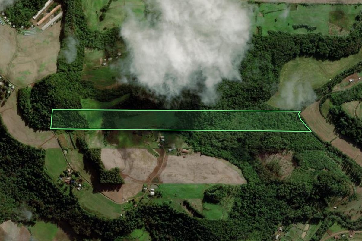 Imagem de satélite do imóvel rural em Cunha Porã (SC), com o contorno declarado no CAR desenhado por cima.