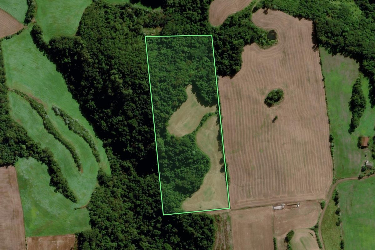 Imagem de satélite do imóvel rural em Cunha Porã (SC), com o contorno declarado no CAR desenhado por cima.
