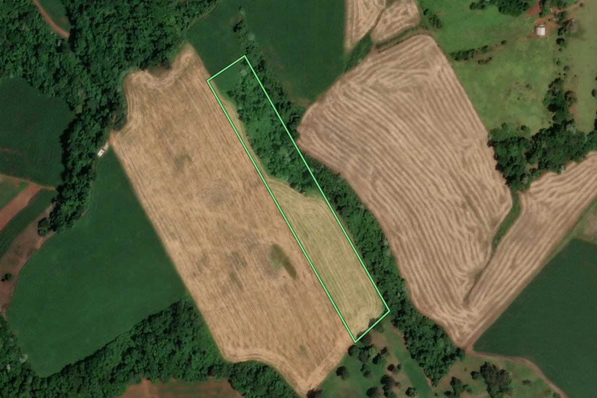 Imagem de satélite do imóvel rural em Cunha Porã (SC), com o contorno declarado no CAR desenhado por cima.