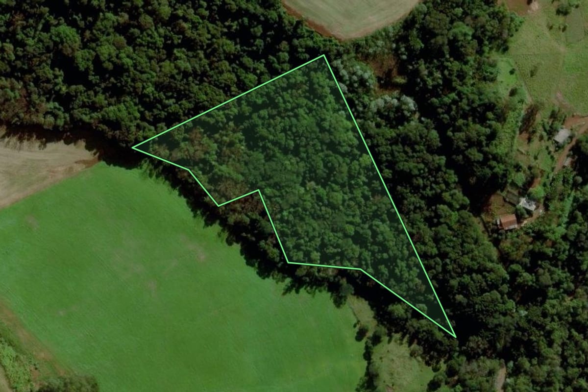 Imagem de satélite do imóvel rural em Cunha Porã (SC), com o contorno declarado no CAR desenhado por cima.