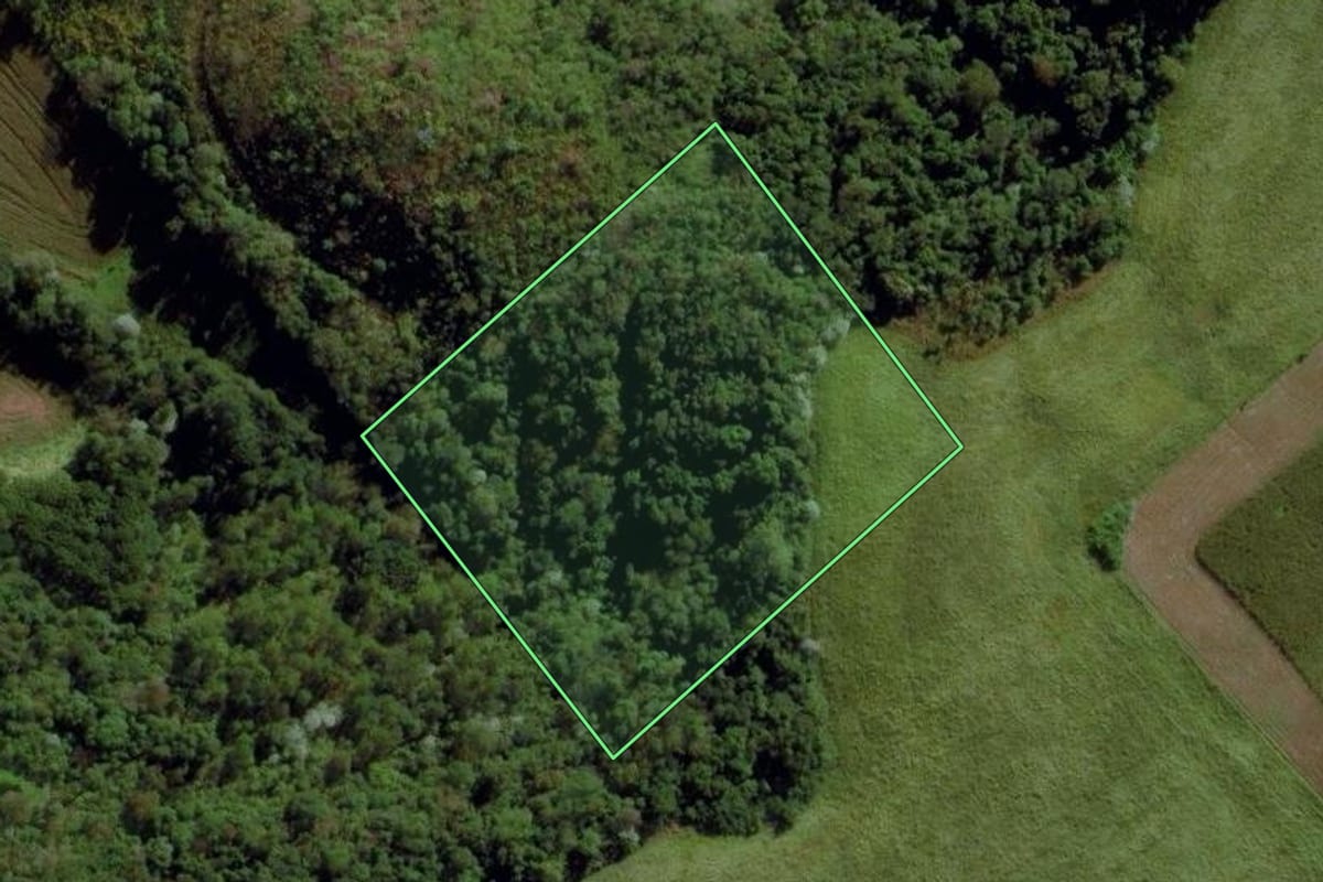 Imagem de satélite do imóvel rural em Cunha Porã (SC), com o contorno declarado no CAR desenhado por cima.