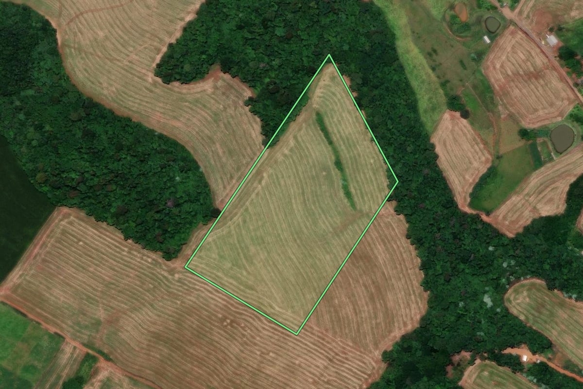 Imagem de satélite do imóvel rural em Cunha Porã (SC), com o contorno declarado no CAR desenhado por cima.
