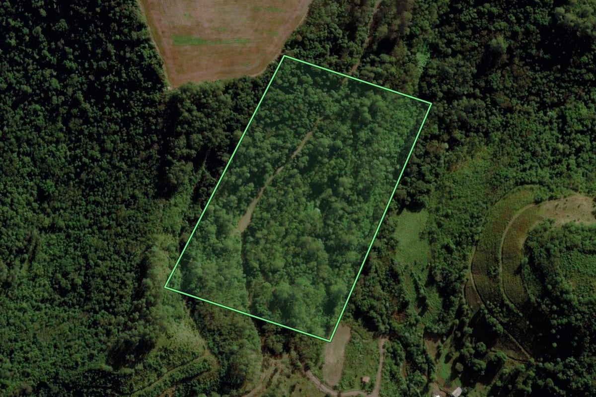 Imagem de satélite do imóvel rural em Cunha Porã (SC), com o contorno declarado no CAR desenhado por cima.