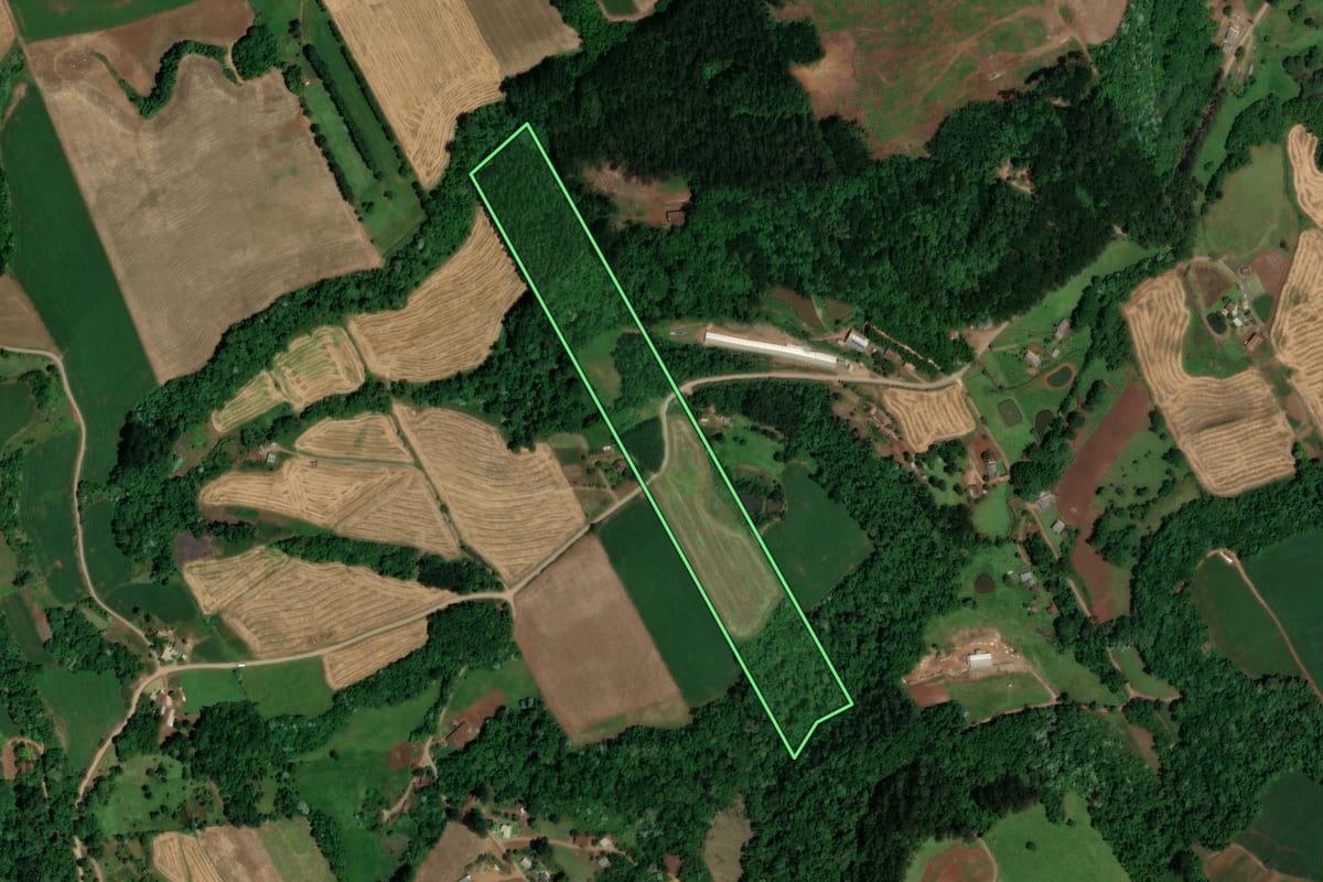 Imagem de satélite do imóvel rural em Cunha Porã (SC), com o contorno declarado no CAR desenhado por cima.