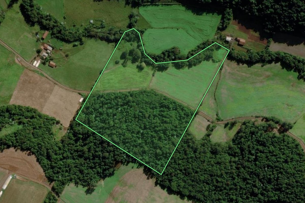 Imagem de satélite do imóvel rural em Cunha Porã (SC), com o contorno declarado no CAR desenhado por cima.