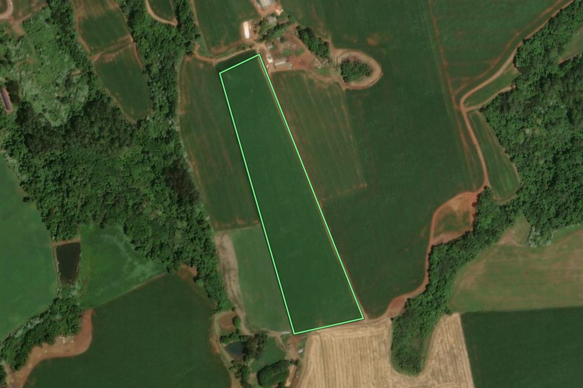 Imagem de satélite do imóvel rural em Cunha Porã (SC), com o contorno declarado no CAR desenhado por cima.