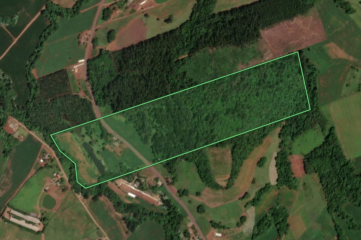 Imagem de satélite do imóvel rural em Cunhataí (SC), com o contorno declarado no CAR desenhado por cima.