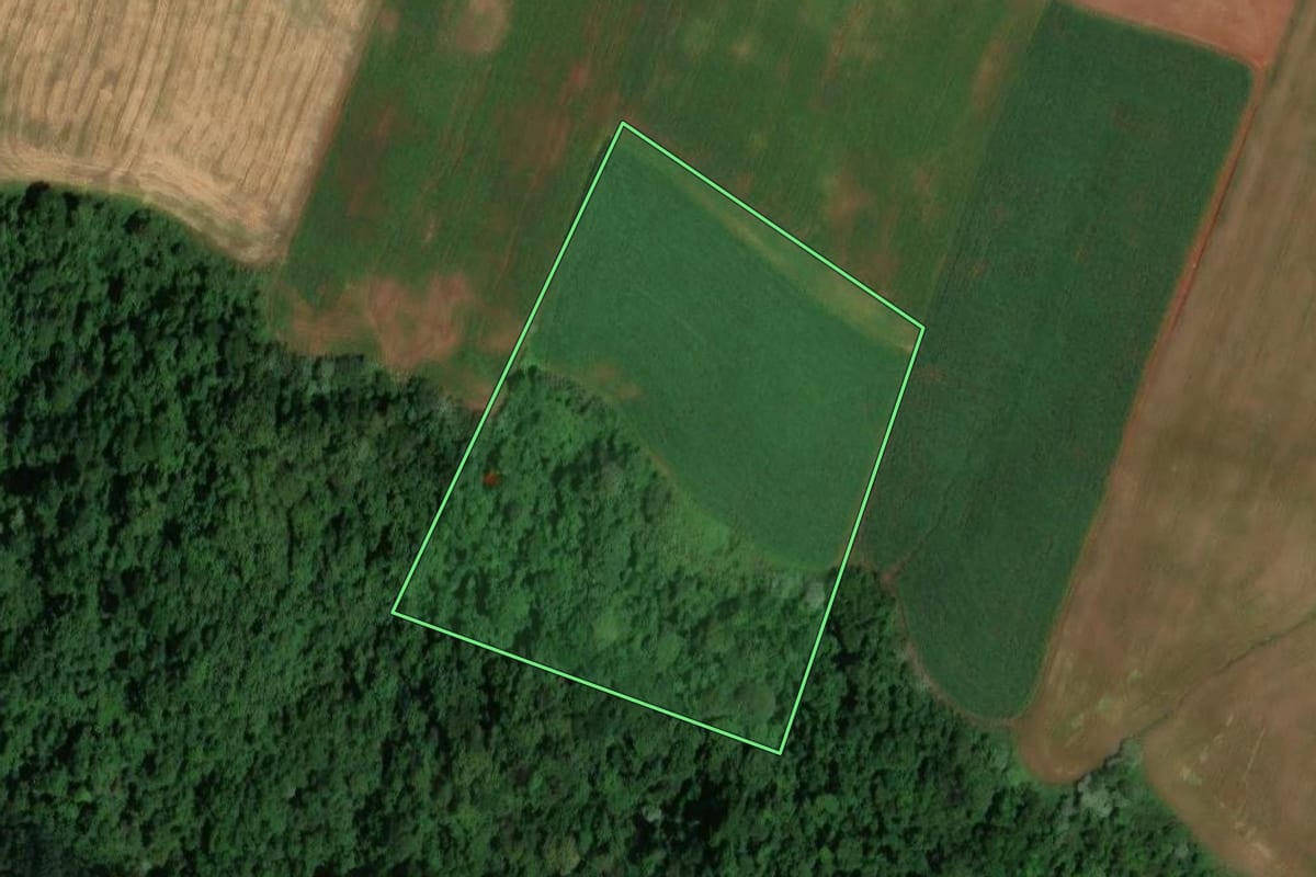 Imagem de satélite do imóvel rural em Cunhataí (SC), com o contorno declarado no CAR desenhado por cima.