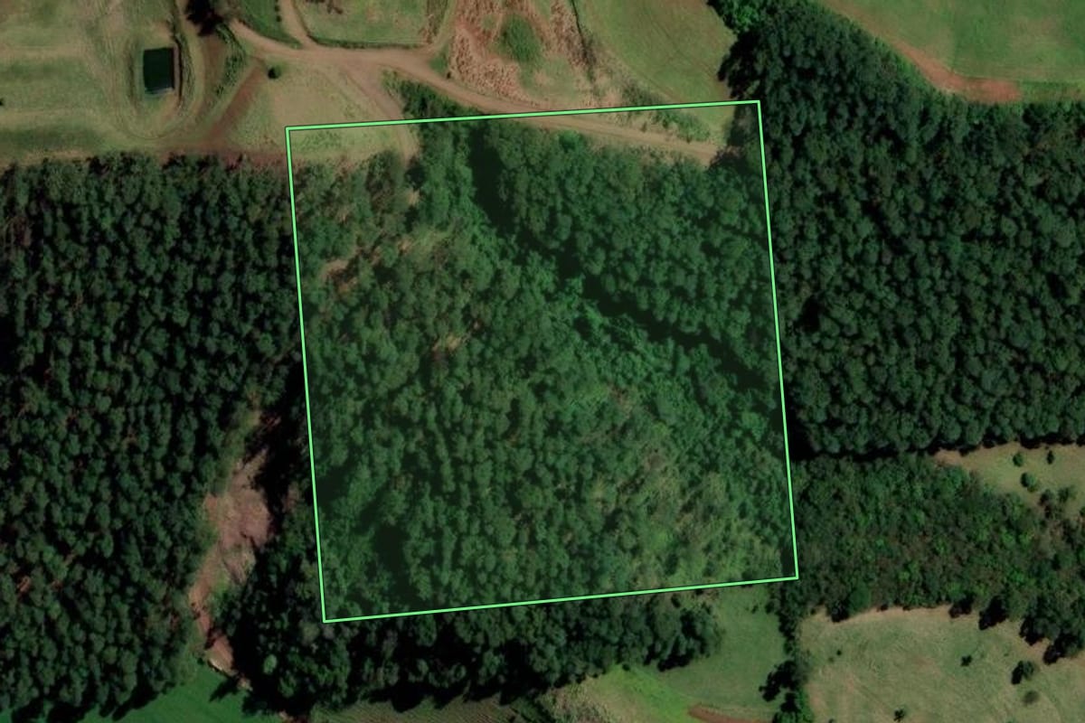 Imagem de satélite do imóvel rural em Cunhataí (SC), com o contorno declarado no CAR desenhado por cima.