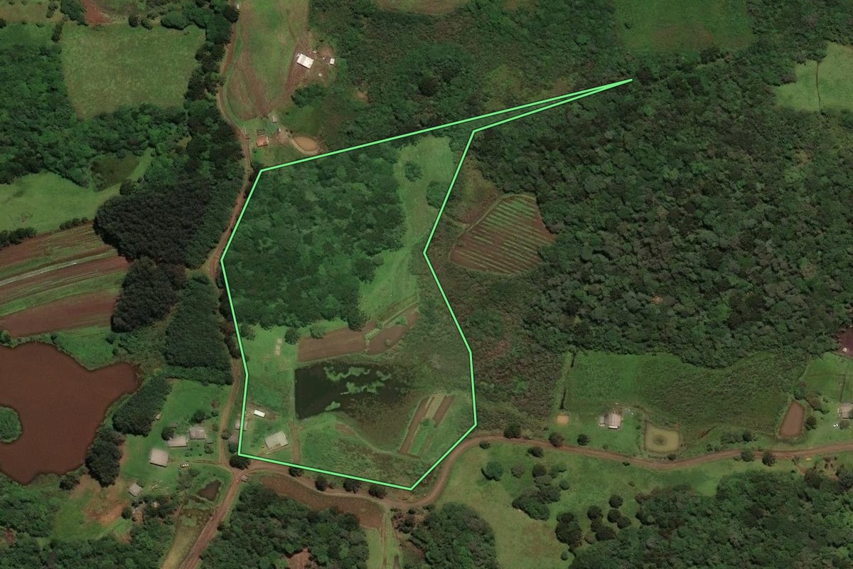 Imagem de satélite do imóvel rural em Curitibanos (SC), com o contorno declarado no CAR desenhado por cima.