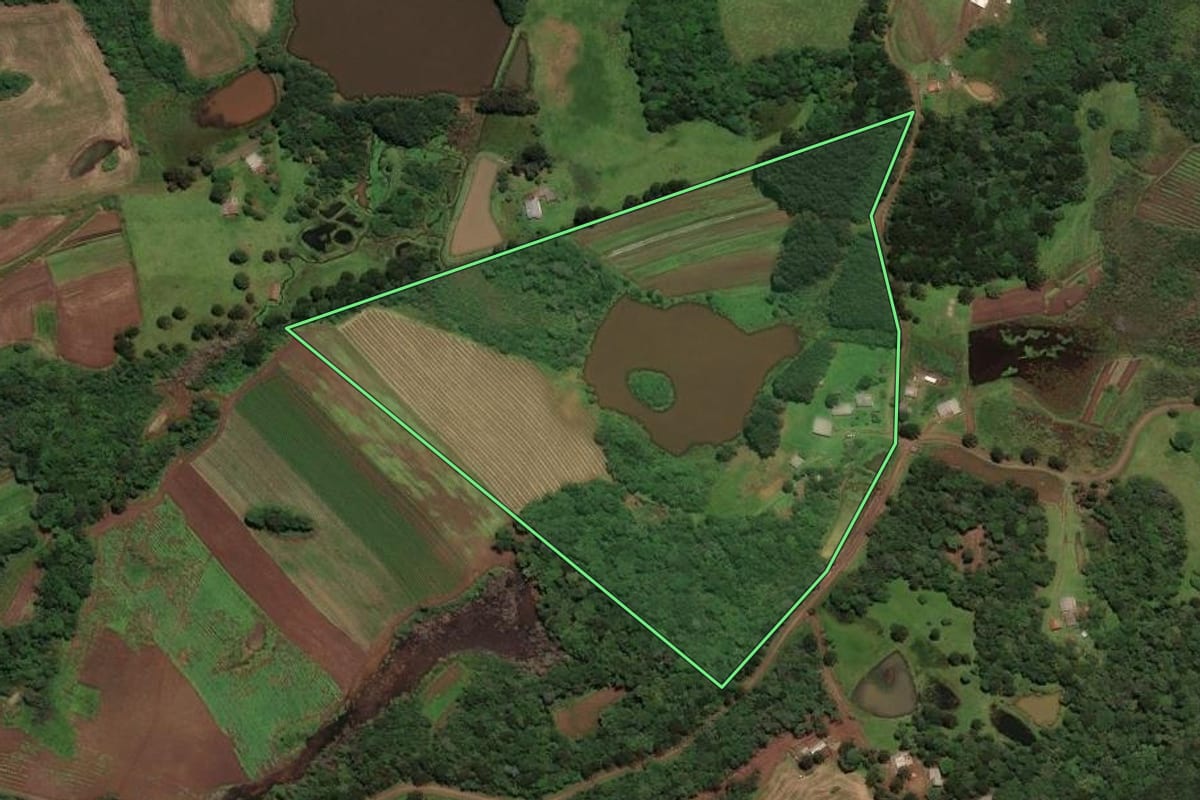 Imagem de satélite do imóvel rural em Curitibanos (SC), com o contorno declarado no CAR desenhado por cima.