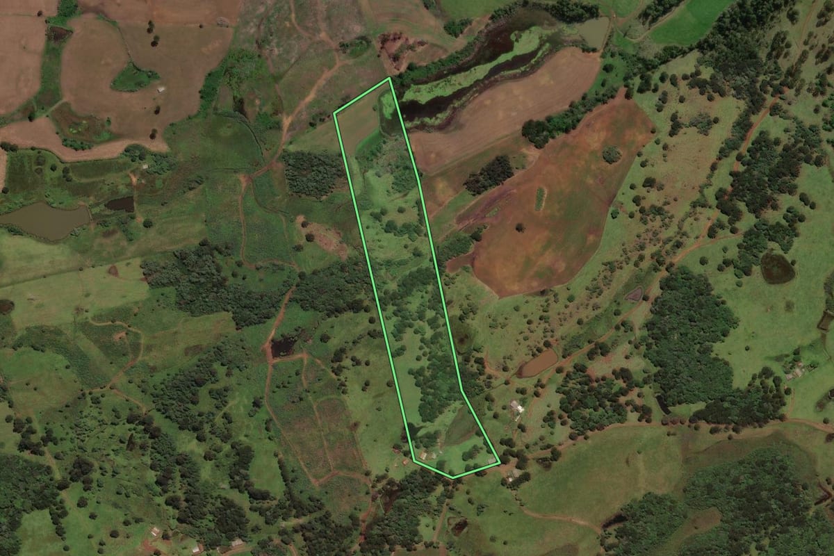 Imagem de satélite do imóvel rural em Curitibanos (SC), com o contorno declarado no CAR desenhado por cima.
