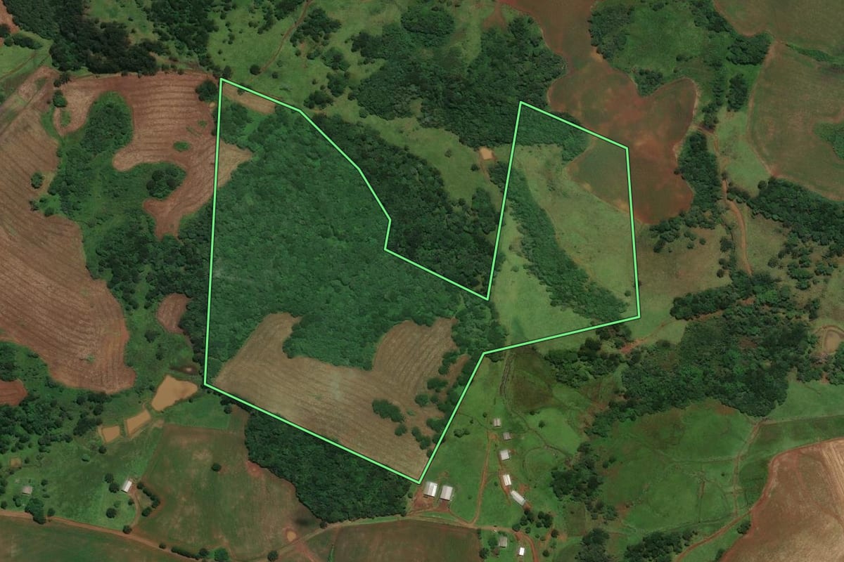 Imagem de satélite do imóvel rural em Curitibanos (SC), com o contorno declarado no CAR desenhado por cima.
