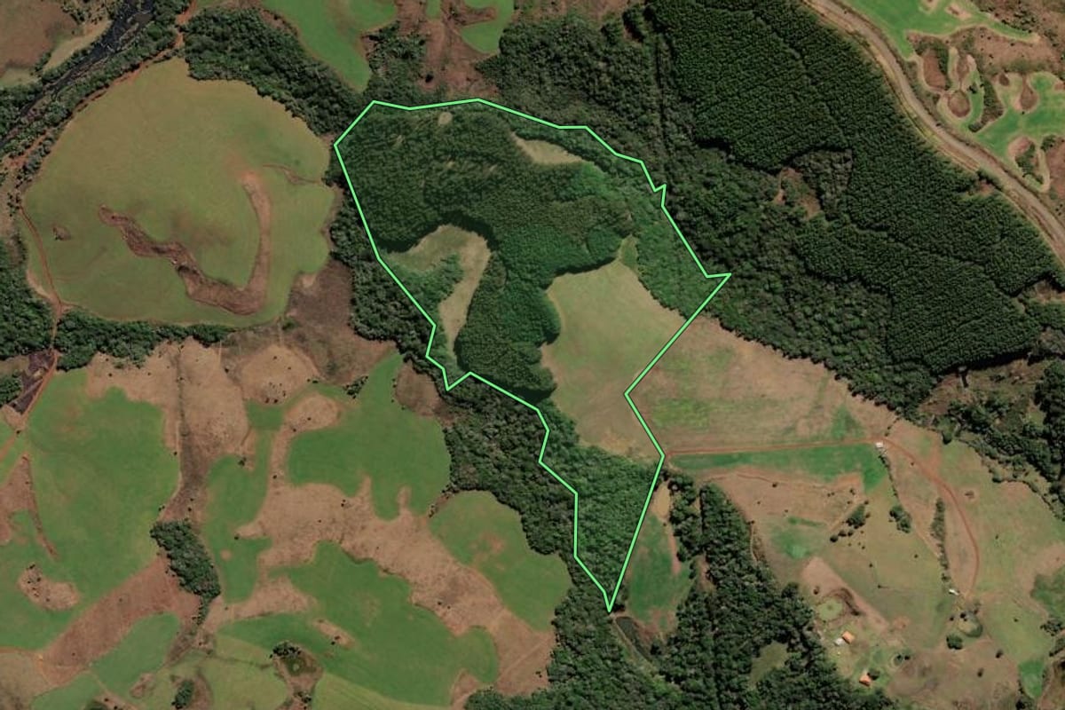Imagem de satélite do imóvel rural em Curitibanos (SC), com o contorno declarado no CAR desenhado por cima.