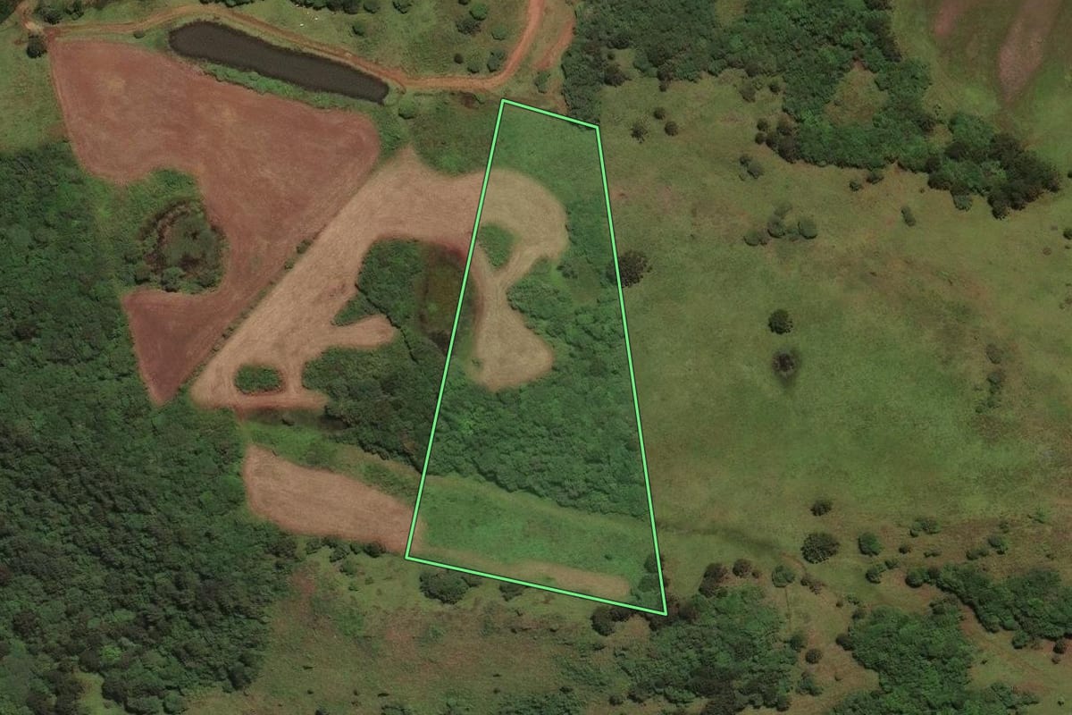 Imagem de satélite do imóvel rural em Curitibanos (SC), com o contorno declarado no CAR desenhado por cima.