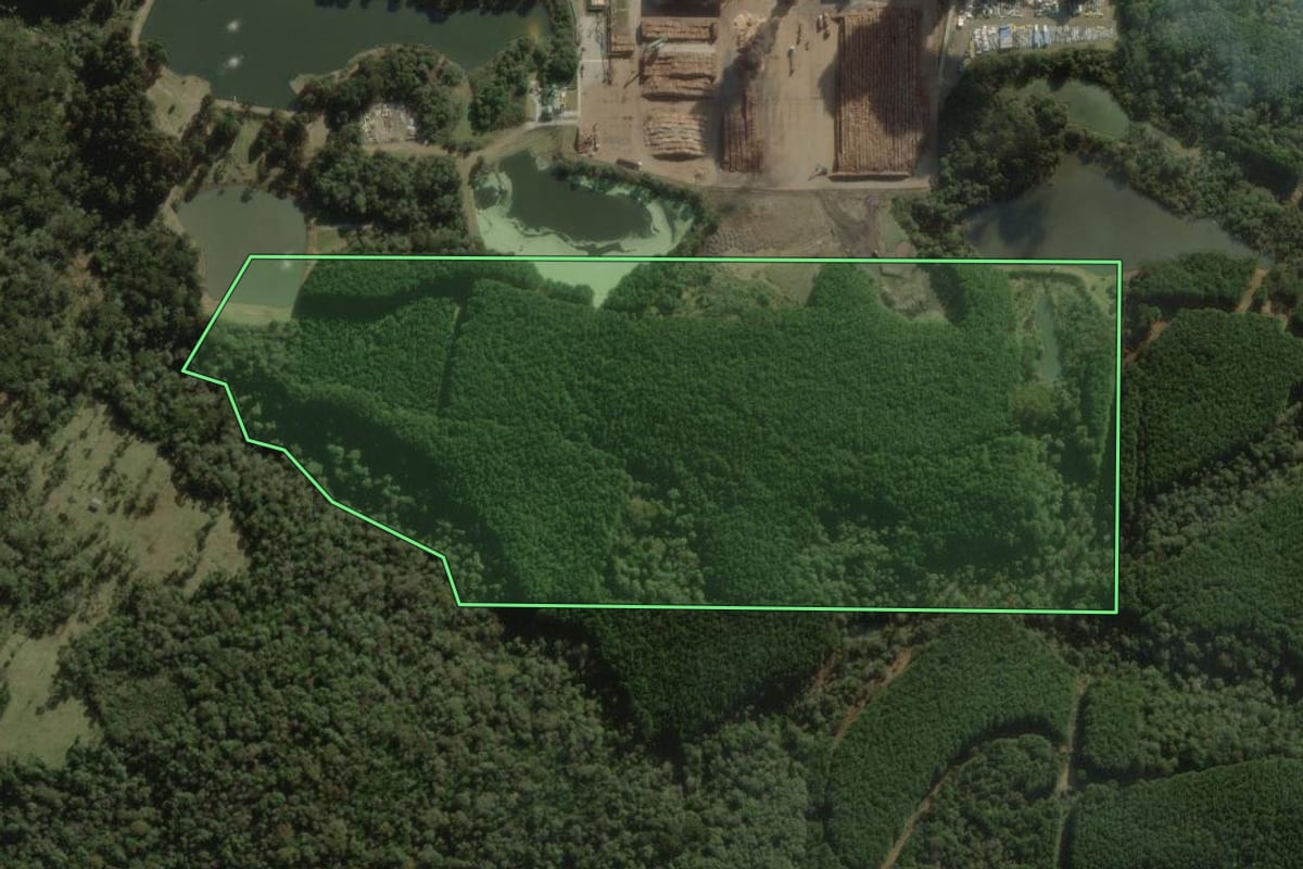 Imagem de satélite do imóvel rural em Curitibanos (SC), com o contorno declarado no CAR desenhado por cima.