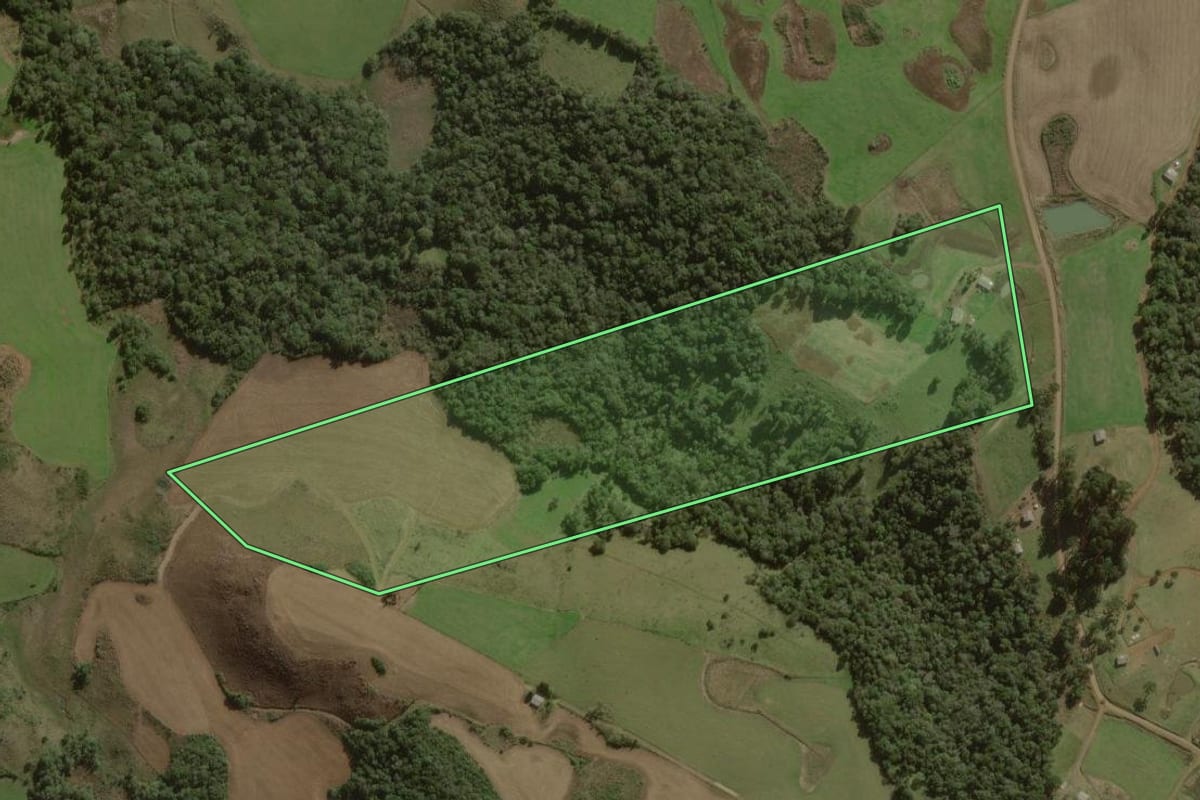 Imagem de satélite do imóvel rural em Curitibanos (SC), com o contorno declarado no CAR desenhado por cima.
