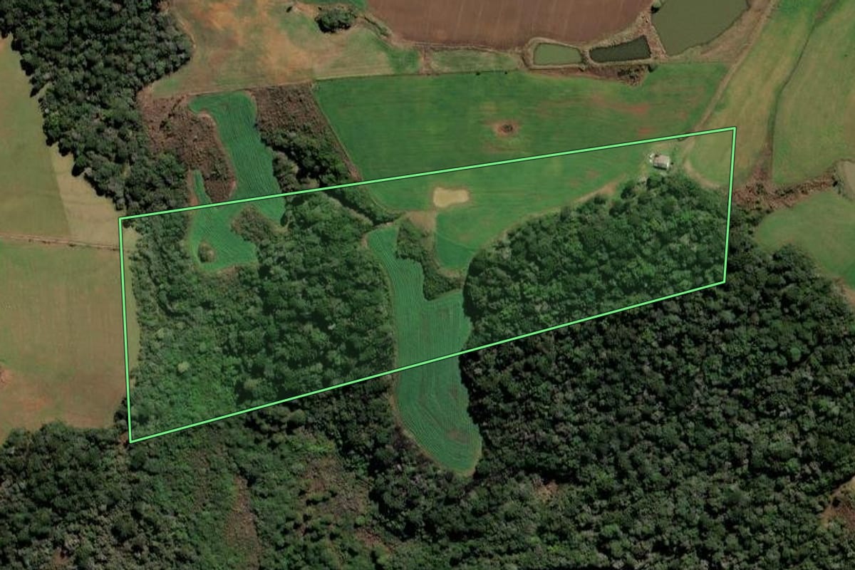 Imagem de satélite do imóvel rural em Curitibanos (SC), com o contorno declarado no CAR desenhado por cima.