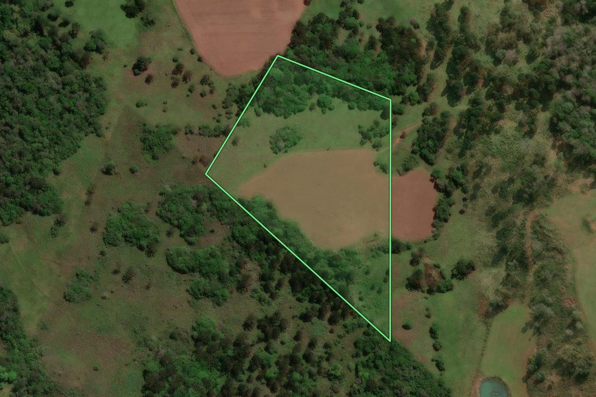 Imagem de satélite do imóvel rural em Curitibanos (SC), com o contorno declarado no CAR desenhado por cima.