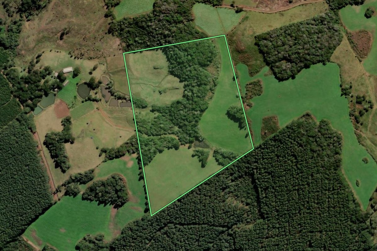 Imagem de satélite do imóvel rural em Curitibanos (SC), com o contorno declarado no CAR desenhado por cima.