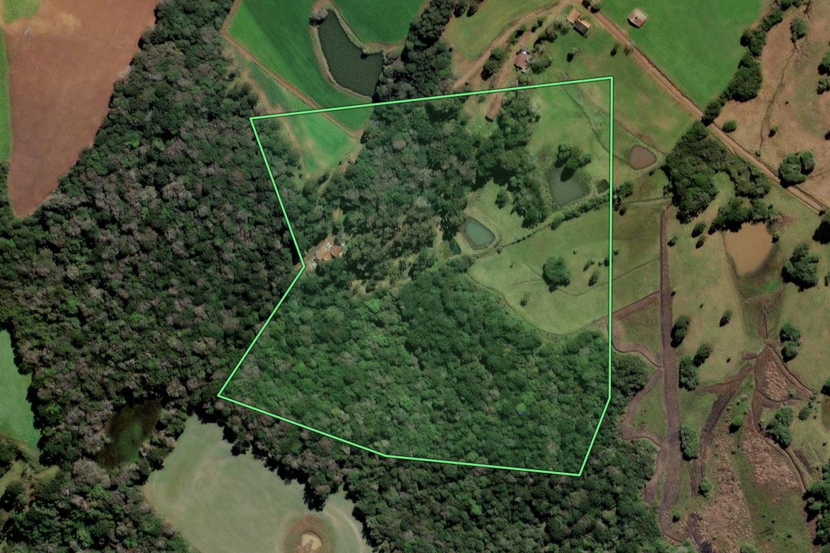 Imagem de satélite do imóvel rural em Curitibanos (SC), com o contorno declarado no CAR desenhado por cima.