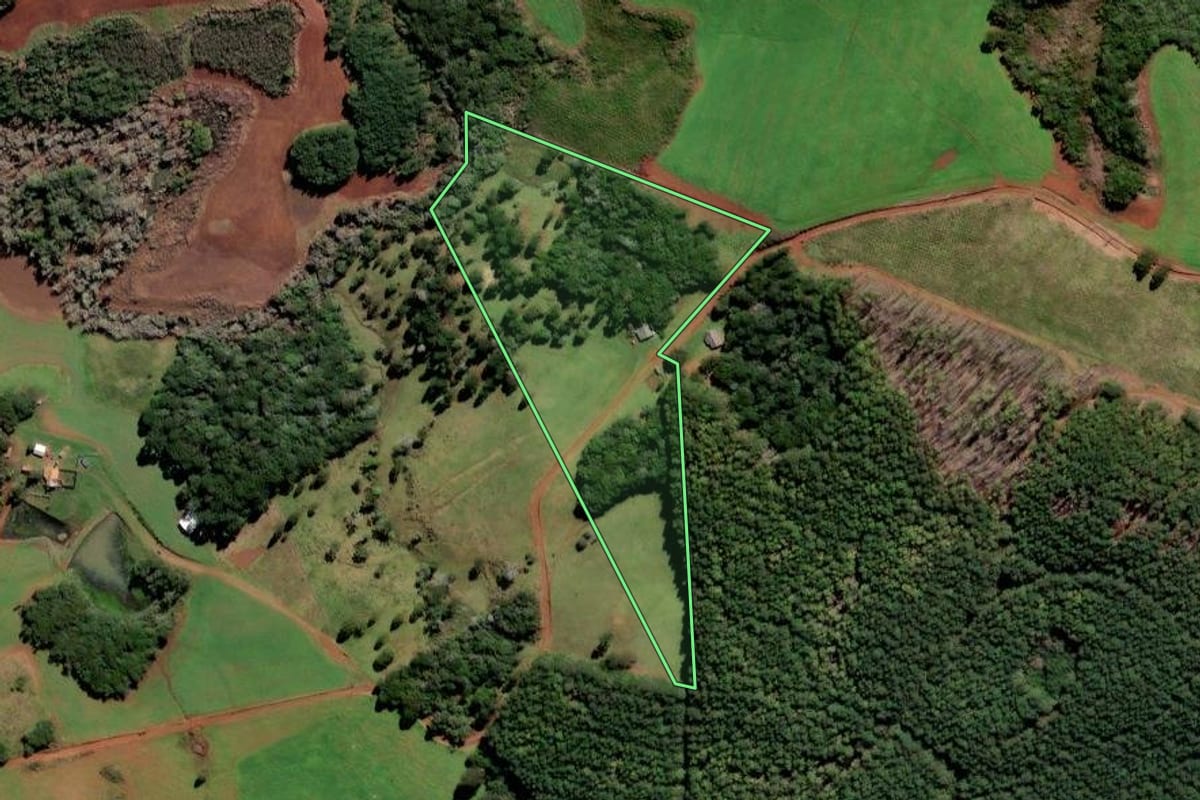 Imagem de satélite do imóvel rural em Curitibanos (SC), com o contorno declarado no CAR desenhado por cima.