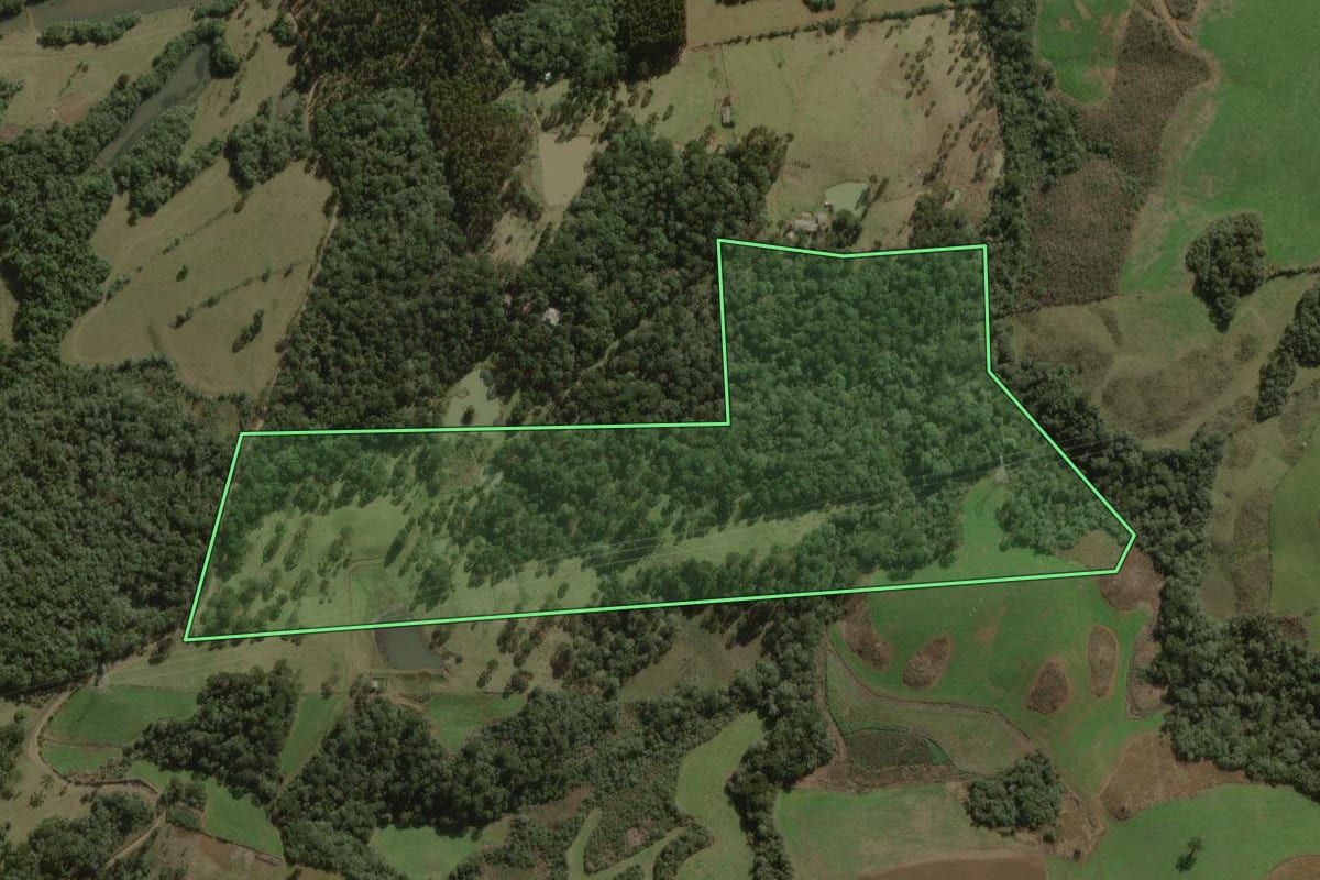 Imagem de satélite do imóvel rural em Curitibanos (SC), com o contorno declarado no CAR desenhado por cima.