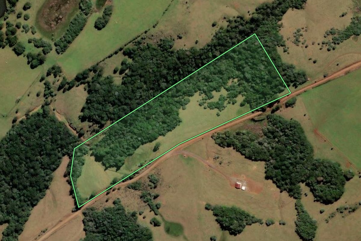 Imagem de satélite do imóvel rural em Curitibanos (SC), com o contorno declarado no CAR desenhado por cima.