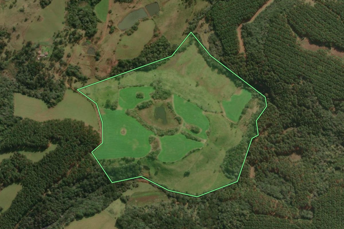 Imagem de satélite do imóvel rural em Curitibanos (SC), com o contorno declarado no CAR desenhado por cima.