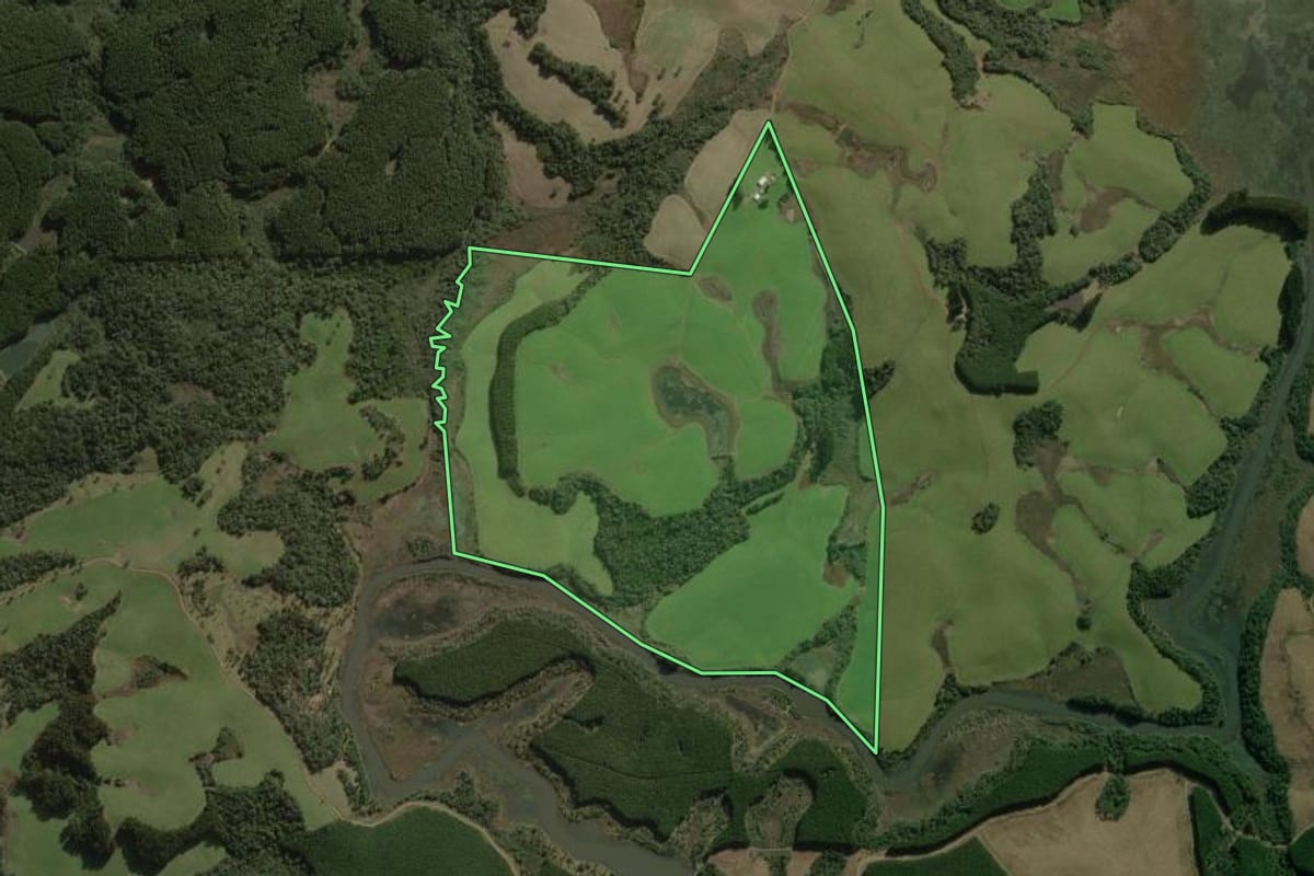 Imagem de satélite do imóvel rural em Curitibanos (SC), com o contorno declarado no CAR desenhado por cima.