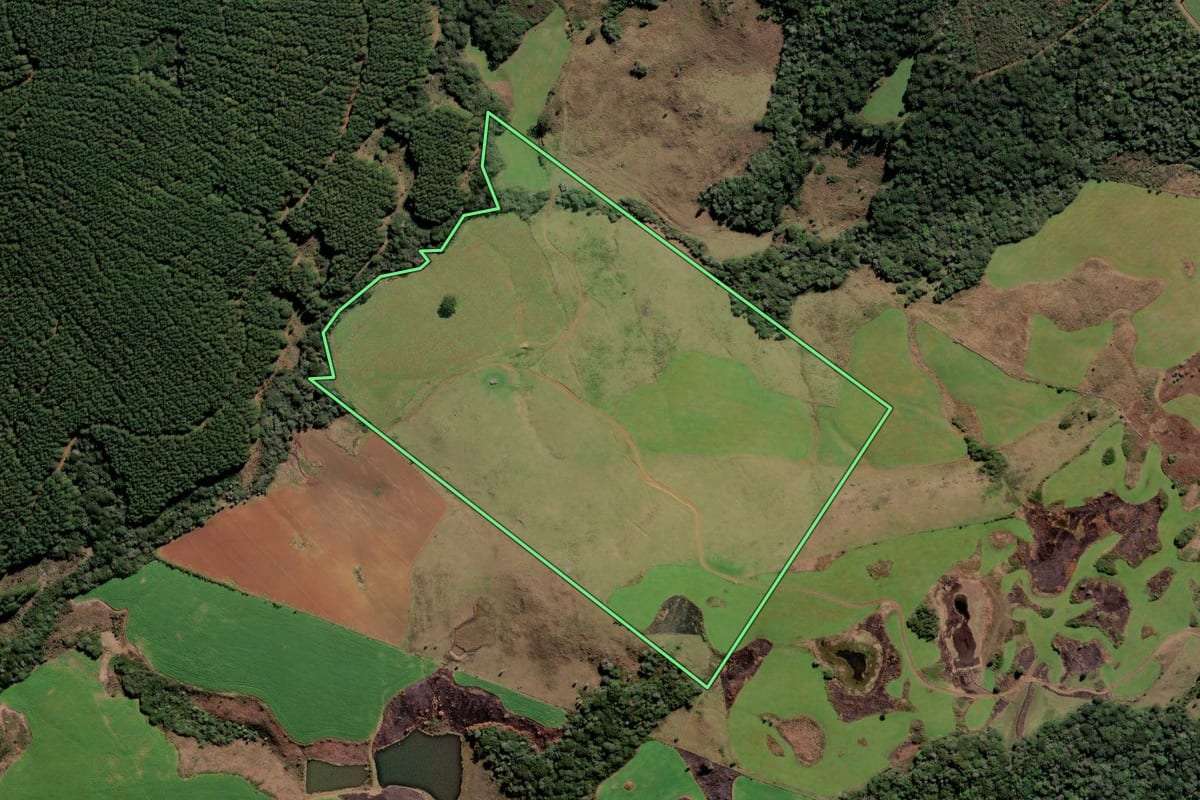 Imagem de satélite do imóvel rural em Curitibanos (SC), com o contorno declarado no CAR desenhado por cima.