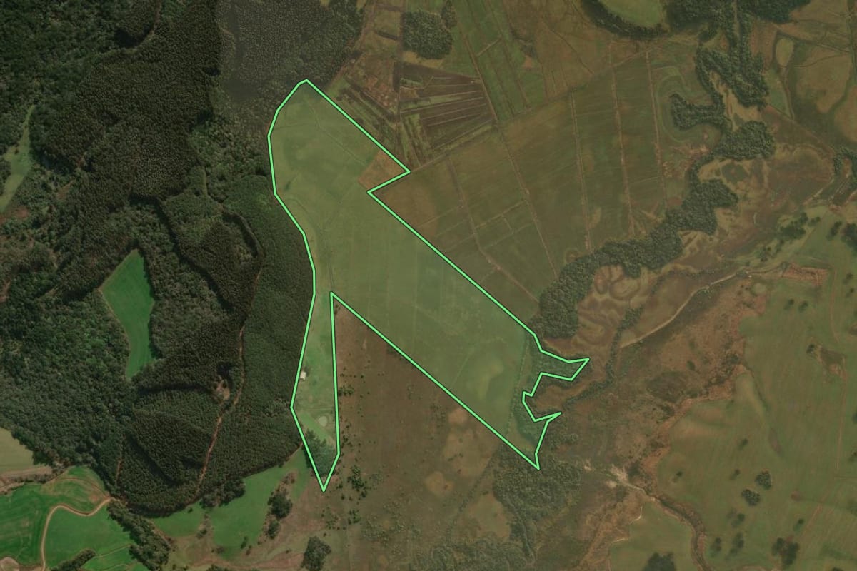 Imagem de satélite do imóvel rural em Curitibanos (SC), com o contorno declarado no CAR desenhado por cima.