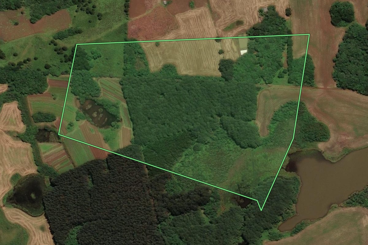 Imagem de satélite do imóvel rural em Curitibanos (SC), com o contorno declarado no CAR desenhado por cima.