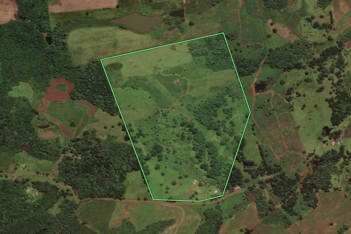 Imagem de satélite do imóvel rural em Curitibanos (SC), com o contorno declarado no CAR desenhado por cima.