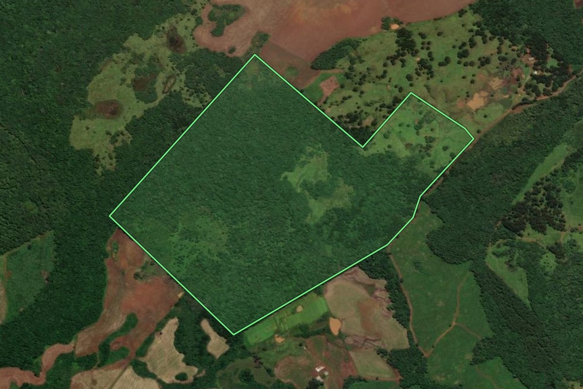 Imagem de satélite do imóvel rural em Curitibanos (SC), com o contorno declarado no CAR desenhado por cima.