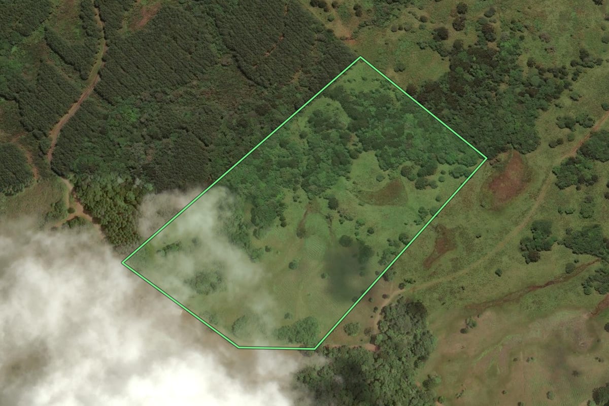 Imagem de satélite do imóvel rural em Curitibanos (SC), com o contorno declarado no CAR desenhado por cima.