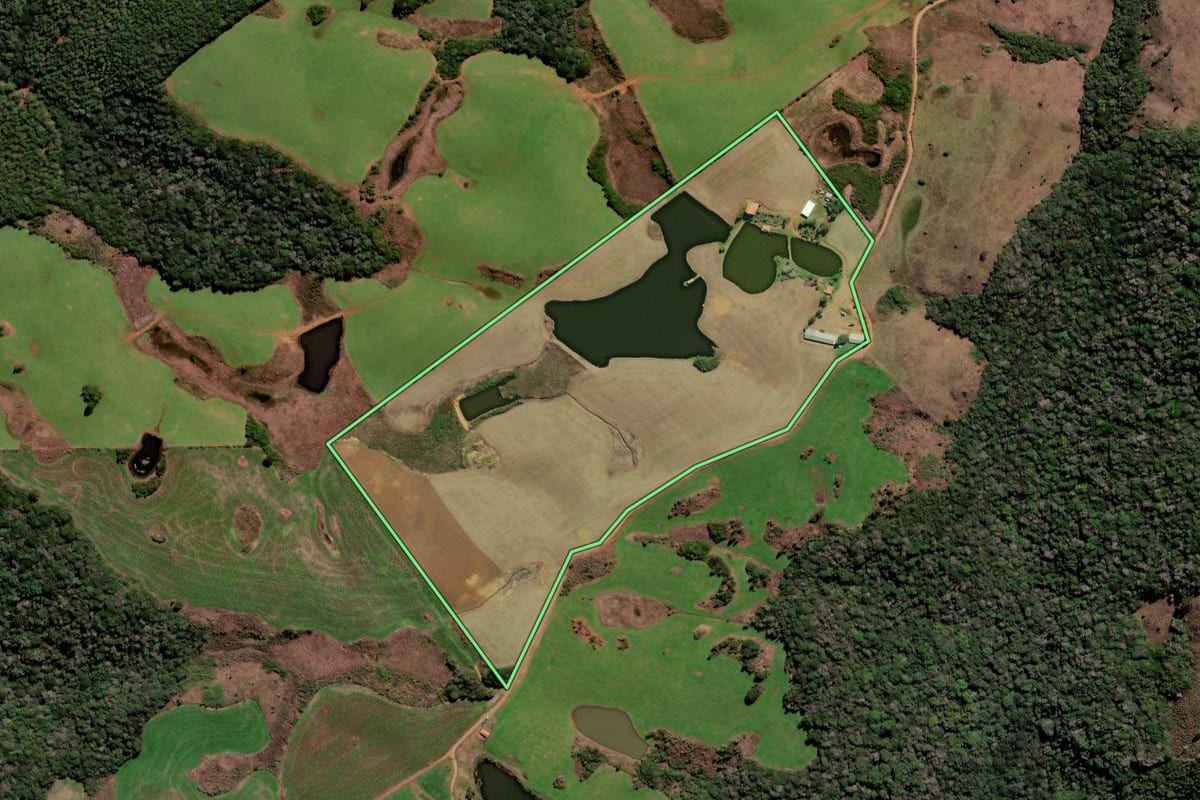 Imagem de satélite do imóvel rural em Curitibanos (SC), com o contorno declarado no CAR desenhado por cima.