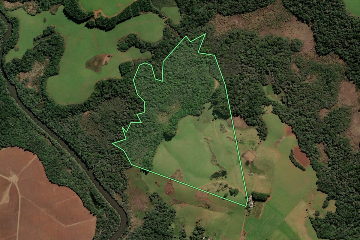 Imagem de satélite do imóvel rural em Curitibanos (SC), com o contorno declarado no CAR desenhado por cima.