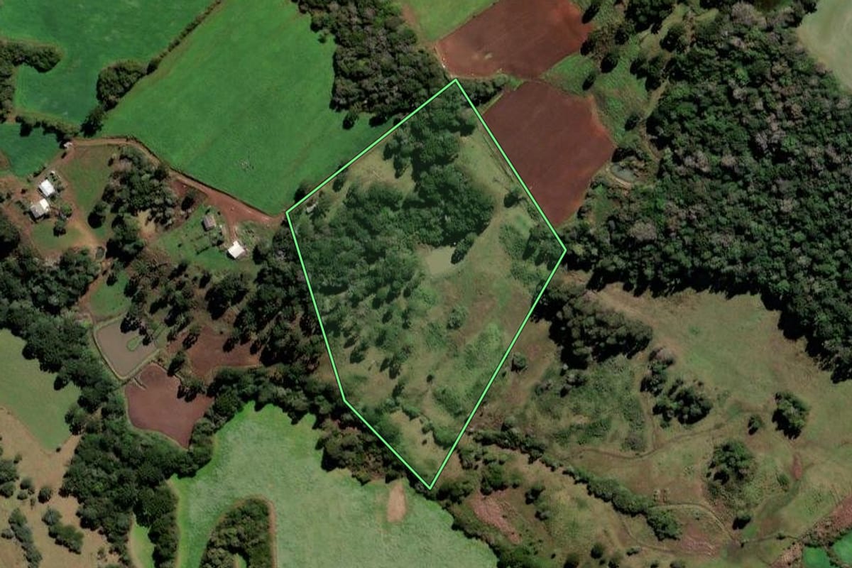 Imagem de satélite do imóvel rural em Curitibanos (SC), com o contorno declarado no CAR desenhado por cima.